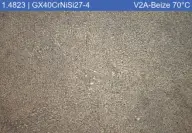 Biomasss to energy1569ve0